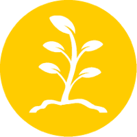 Environmental sustainability